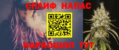 прущие грибы Пенза