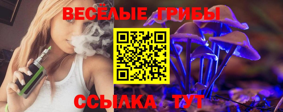 Галлюциногенные грибы Psilocybine cubensis  Вход с VPN  Тамбов  Псилоцибиновые грибы Magic Shrooms 
